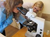 Warsztaty mikrobiologii środowiskowej