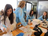 Warsztaty mikrobiologii środowiskowej