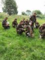 Paintball, czyli dobra zabawa!